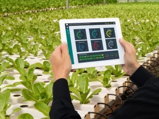 agriculture industry3